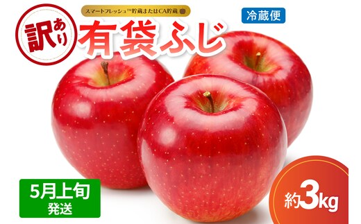【2026年5月上旬発送】【訳あり】りんご有袋ふじ3kg(スマートフレッシュTM貯蔵又はCA貯蔵・クール便)
