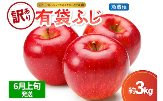 【2026年6月上旬発送】【訳あり】りんご有袋ふじ3kg(スマートフレッシュTM貯蔵又はCA貯蔵・クール便)