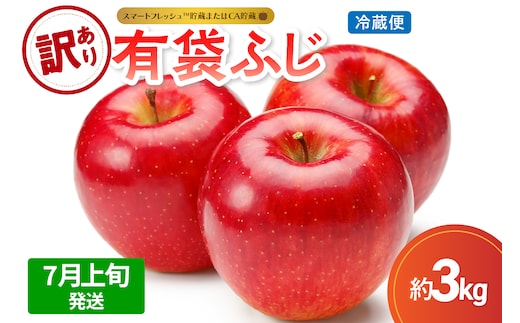 【2026年7月上旬発送】【訳あり】りんご有袋ふじ3kg(スマートフレッシュTM貯蔵又はCA貯蔵・クール便)