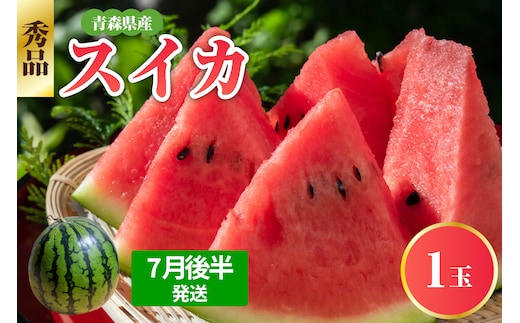 【2026年7月後半発送】 青森県産スイカ 大玉 1玉 秀品 先行受付 西瓜
