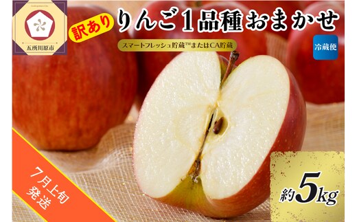 【2026年7月上旬発送】【訳あり】 りんご 約5kg 青森産 【おまかせ1品種】スマートフレッシュTM貯蔵またはCA貯蔵