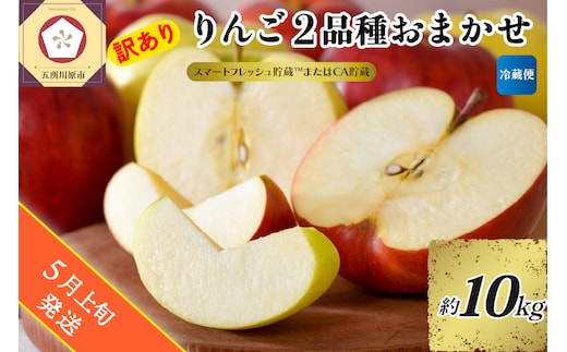 【2026年5月上旬発送】 【訳あり】旬の美味しい りんご 約10kg 青森産 【おまかせ2品種】 スマートフレッシュTM貯蔵またはCA貯蔵