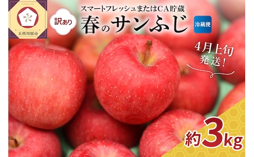 【2026年4月上旬発送】りんご 春のサンふじ 訳あり 約3kg スマートフレッシュTM貯蔵またはCA貯蔵