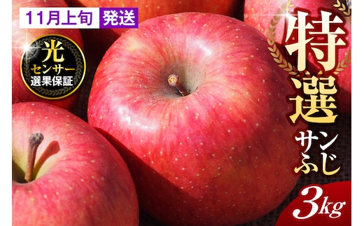 【2026年11月上旬発送】【特選】りんご 約3kg サンふじ 青森 五所川原