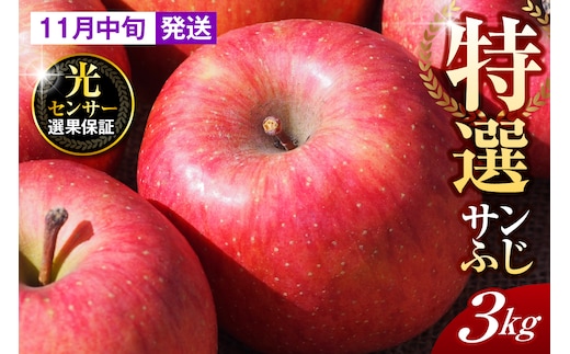 【2026年11月中旬発送】【特選】りんご 約3kg サンふじ 青森 五所川原