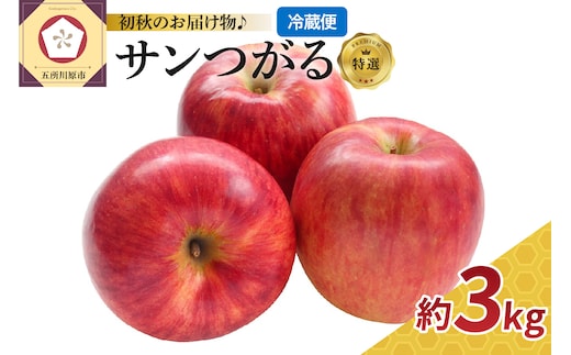 【2026年9月発送】【特選】サンつがる約3kgりんご青森産【クール便】
