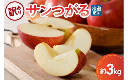 【2026年9月発送】【訳あり】りんごサンつがる約3kg青森産【クール便】