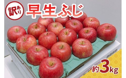 【2026年10月発送】【訳あり】 りんご 約 3kg 早生ふじ 青森県産