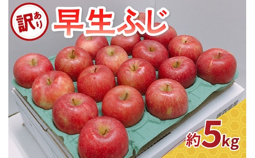 【2026年10月発送】【訳あり】りんご約5kg早生ふじ青森県産