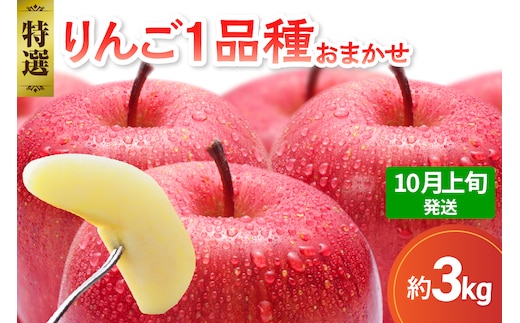 【2026年10月上旬発送】 【特選】 旬の美味しい りんご 約3kg 青森産 【おまかせ1品種】