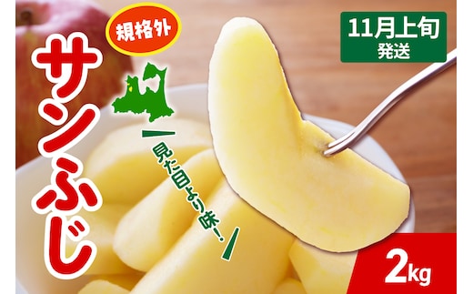 【2026年11月上旬発送】りんご サンふじ 約 2kg 規格外 程度 青森 五所川原 不揃い サン ふじ りんご規格外