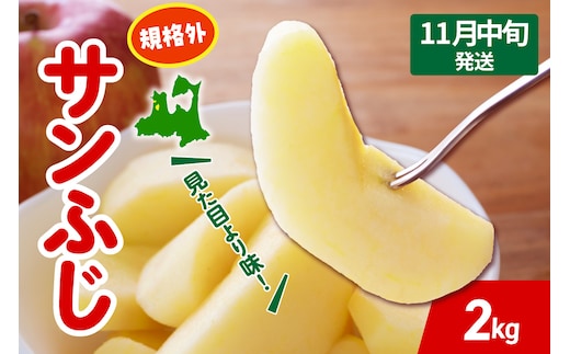【2026年11月中旬発送】りんご サンふじ 約 2kg 規格外 程度 青森 五所川原 不揃い サン ふじ りんご規格外