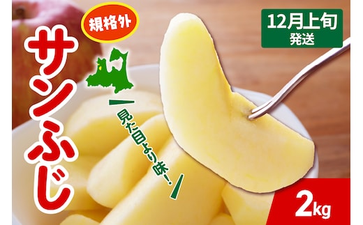 【2026年12月上旬発送】 りんご サンふじ 約 2kg 規格外 程度 青森 五所川原 不揃い サン ふじ りんご規格外