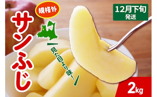 【2026年12月下旬発送】 りんご サンふじ 約 2kg 規格外 程度 青森 五所川原 不揃い サン ふじ りんご規格外