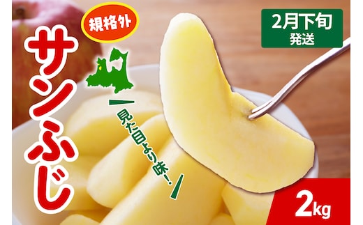 【2026年2月下旬発送】 りんご サンふじ 約 2kg 規格外 程度 青森 五所川原 不揃い サン ふじ りんご規格外