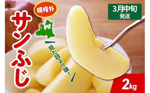 【2026年3月中旬発送】 りんご サンふじ 約 2kg 規格外 程度 青森 五所川原 不揃い サン ふじ りんご規格外