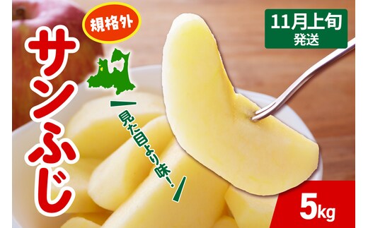 【2026年11月上旬発送】 りんご サンふじ 約 5kg 規格外 程度 青森 五所川原 不揃い サン ふじ りんご規格外