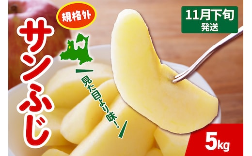 【2026年11月下旬発送】 りんご サンふじ 約 5kg 規格外 程度 青森 五所川原 不揃い サン ふじ りんご規格外