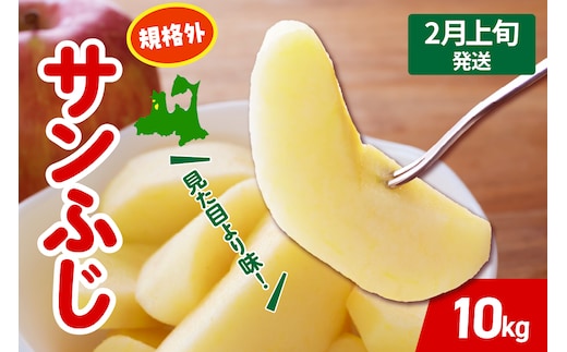 【2026年2月上旬発送】 りんご サンふじ 約 10kg 規格外 程度 青森 五所川原 不揃い サン ふじ りんご規格外
