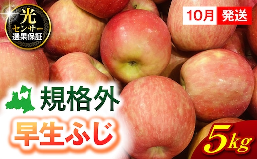 【2026年10月発送】【規格外】 りんご 約5kg 早生ふじ 《 光センサー選果保証 》 青森県産 訳あり リンゴ 林檎 果物 青森 五所川原