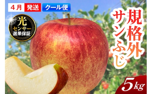 【2026年4月上旬発送】【規格外】 りんご サンふじ 約5kg スマートフレッシュ™貯蔵 または CA貯蔵 【クール便】 青森県産