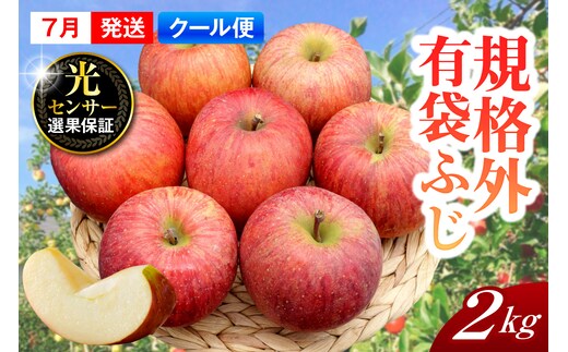 【2026年7月上旬発送】【規格外】 りんご 有袋ふじ 約2kg スマートフレッシュ™貯蔵 または CA貯蔵 【クール便】 青森県産