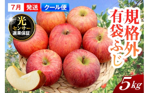 【2026年7月上旬発送】【規格外】 りんご 有袋ふじ 約5kg スマートフレッシュ™貯蔵 または CA貯蔵 【クール便】 青森県産