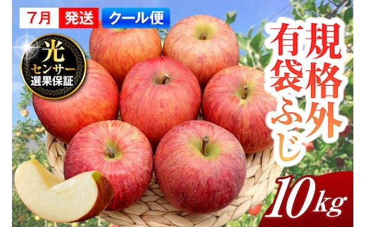 【2026年7月上旬発送】【規格外】 りんご 有袋ふじ 約10kg スマートフレッシュ™貯蔵 または CA貯蔵 【クール便】 青森県産