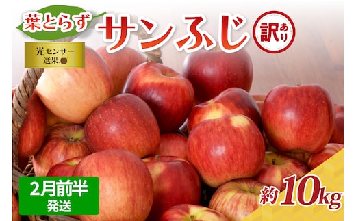 【2026年2月前半発送】【訳あり】 葉とらずりんごサンふじ 10kg 程度 青森 五所川原