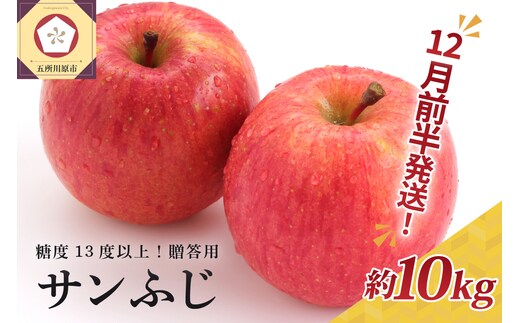 【2025年12月前半発送】 りんご 約10kg サンふじ 青森産 糖度 13度以上 贈答用 特選～特秀