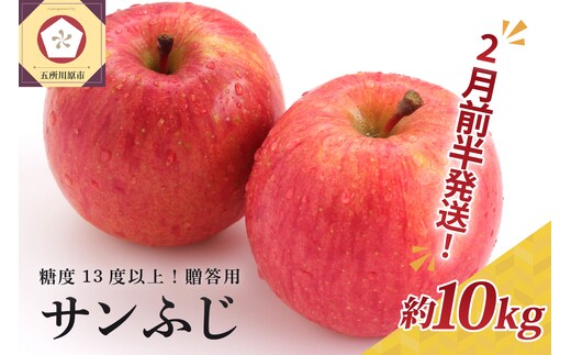 【2026年2月前半発送】 りんご 約10kg サンふじ 青森産 糖度 13度以上 贈答用 特選～特秀