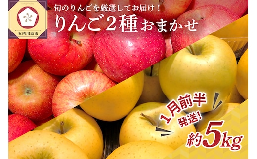 【2027年1月前半発送】 りんご 青森産 約5kg 品種おまかせ2種以上 贈答用 特選～特秀