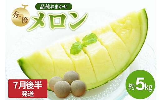 【2026年先行予約】【2026年7月後半発送】青森のメロン 約5kg 青肉 3～6玉 秀～優