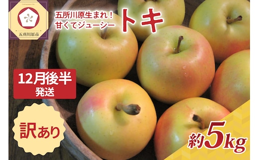 【2025年12月後半発送】訳あり トキ 約5kg