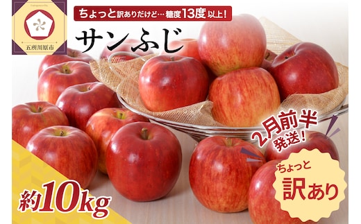 【2026年2月前半発送】 【ちょっと訳あり】 りんご 約10kg サンふじ 青森産