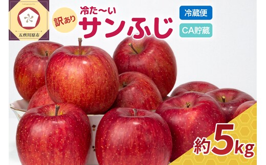 CA貯蔵【訳あり】冷た～いサンふじ青森産約5㎏クール便 糖度13度以上{【順次発送】