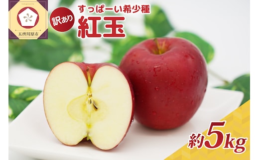 紅玉5kg 程度 紅玉リンゴ 訳あり 青森|タルトタタン に最適 不揃い りんご