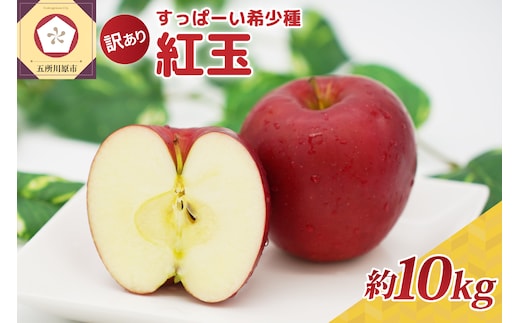 紅玉10kg 程度 紅玉リンゴ 訳あり 青森|タルトタタン に最適 不揃い りんご 