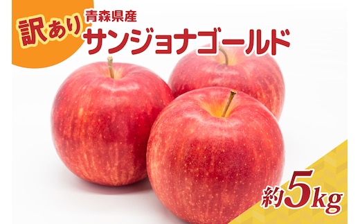 【2026年10月後半以降順次発送】訳あり りんご 5kg 程度 サンジョナゴールド 青森県産