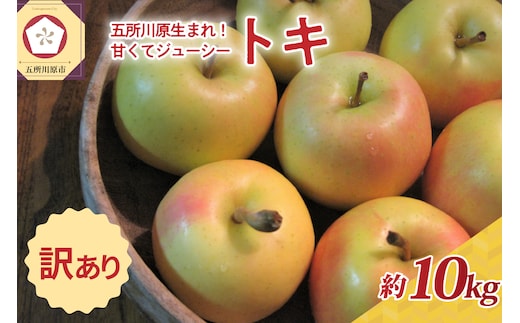 【10月前半以降順次発送】【訳あり】 りんご 約10kg トキ 青森県産