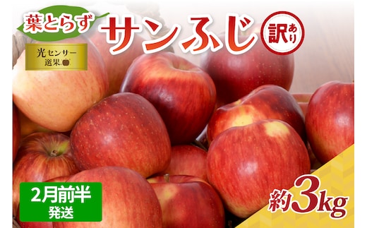 【2026年2月前半発送】【訳あり】青森県産葉とらずサンふじりんご約3kg