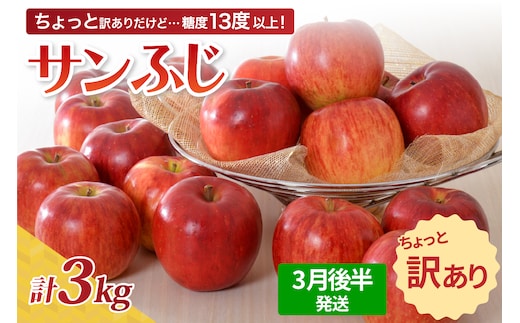 【先行受付】【2026年3月後半発送】 【訳あり】 りんご 約3kg サンふじ 青森産
