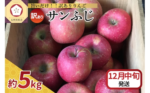 【2026年12月中旬発送】 【訳あり】 りんご サンふじ 5kg 青森
