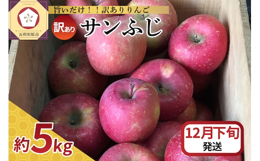【2026年12月下旬発送】 【訳あり】 りんご サンふじ 5kg 青森