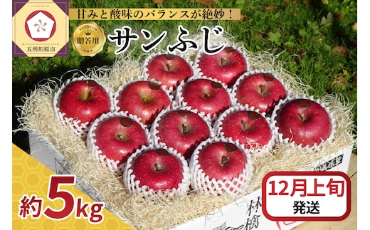 【2026年12月上旬発送】 【贈答用】 りんご サンふじ 5kg 青森