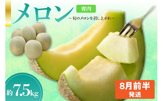 先行予約【2026年8月前半発送】【秀～優品】津軽平野のメロン 約7.5kg程度(青肉)【青森メロン】