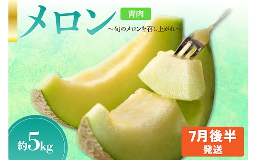 先行予約【2026年7月後半発送】【秀～優品】津軽平野のメロン 約5kg程度(青肉)【青森メロン】