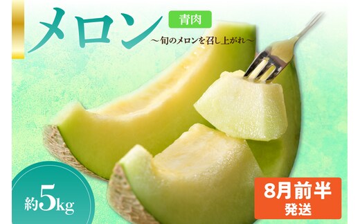 先行予約【2026年8月前半発送】【秀～優品】津軽平野のメロン 約5kg程度(青肉)【青森メロン】
