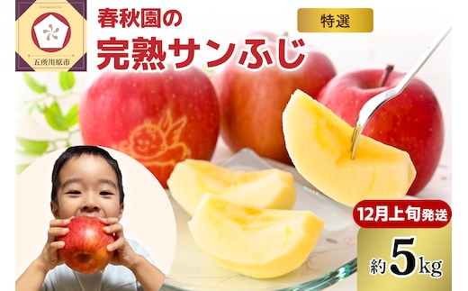 りんご 5kg 【2026年12月上旬発送】青森産りんご 春秋園の最高級「特選」 大玉 完熟 サンふじ