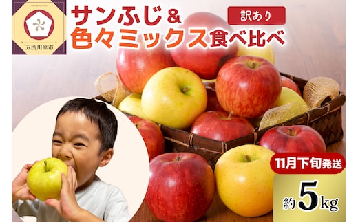 【2026年11月下旬発送】 【訳あり】 りんご 5kg 青森産 家庭用 完熟サンふじ＆色々ミックス
